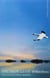 THE SNOW GEESE