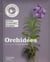 Orchidées