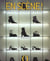 En scene ! mettre en valeur les objets que vous aimez