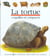 La tortue