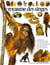 Le royaume des singes