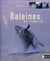 Baleines en liberté