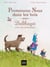 Promenons-nous dans les bois, Balthazar et les sons de la nature - Pédagogie Montessori