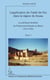 L'application du traité de Fez dans la région du Souss Tome 3 - la politique berbère du protectorat français au Maroc (1912-1956)