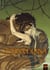 Zorn et Dirna Tome 5 : zombis dans la brume