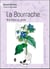 La bourrache, une étoile au jardin