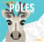 La famille pôles