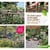 Du bois pour aménager mon jardin ! pergolas, clôtures, portails, allées, carrés potagers...
