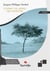 Comme un arbre qui marche