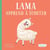 Lama apprend à écouter