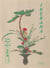 Ikebana : L'art floral au Japon