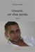 Vincent, un reve perdu - roman