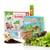 Botaki - kit activité semis salade : pour les petits protecteurs de la planète !