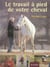 Le travail à pied de votre cheval