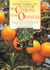 Guide complet de la culture des citrons et oranges