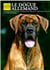 Le dogue allemand