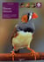 Diamand mandarin