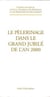 Le pèlerinage dans le grand Jubilé de l'an 2000 - 25 avril 1998