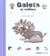 Galets et cailloux