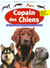 Le copain des chiens