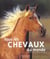 Tous les chevaux du monde