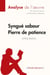 Syngué Sabour : Pierre de patience de Atiq Rahimi - analyse complète de l'oeuvre et résumé