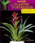Les plantes d'intérieur