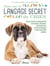 Tout sur le langage secret du chien : pour mieux comprendre son chien, décoder ses humeurs et les messages qu'il nous fait passer