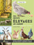 Mes petits élevages au jardin - devenir (facilement) éleveur
