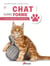 Un chat en pleine forme : santé, entretien, comportement