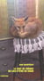Le chat de faïence