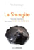 La shungite - tous les bienfaits de cette pierre de guérison