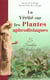 La verite sur les plantes aphrodisiaques