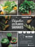 Déguster les plantes sauvages