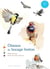 Oiseaux du bocage breton
