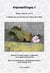 Enfansillages Tome 2