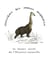 Abécédaire des animaux imaginaires - les dossiers secrets de l'histoire naturelle
