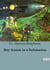 Boy Scouts in a Submarine : Adventures of the Black Bear Patrol in the Depths of the Ocean