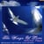 The Wings of Love