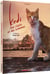 Kedi - Des chats et des hommes