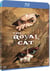 Royal Cat