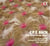 Flute concertos and sonatas