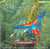 Birds In The Rainforest - CD
