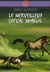 Le merveilleux cheval mongol