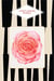 Le Petit livre des roses