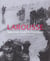 Larousse de la seconde guerre mondiale