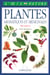 Plantes aromatiques et medicinales