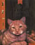Chats