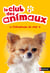 Le Club des animaux 2: Chihuahuas de star