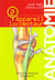 Anatomie appareil locomo
